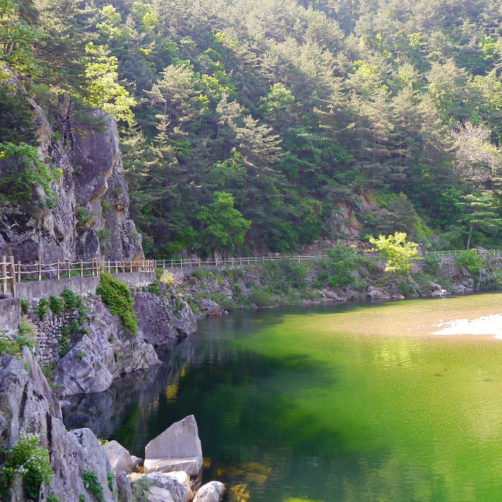 계곡전경