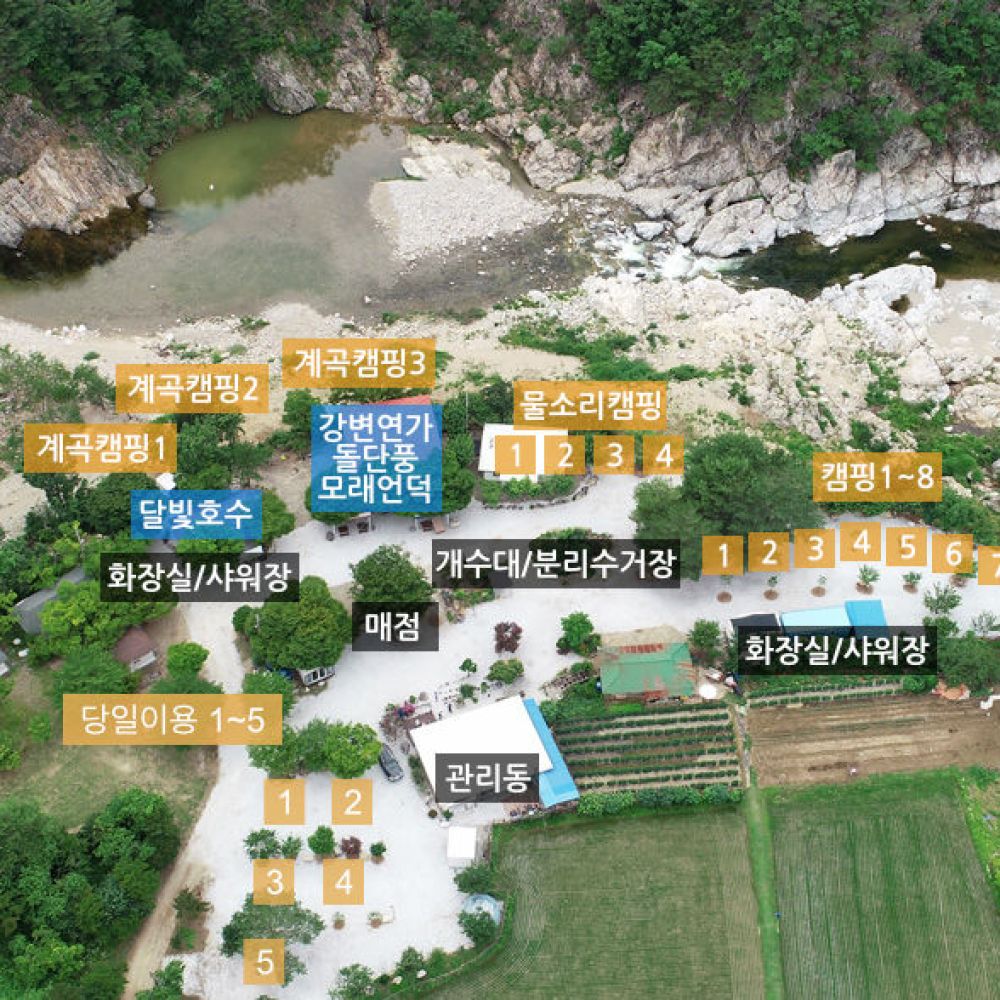 배치도