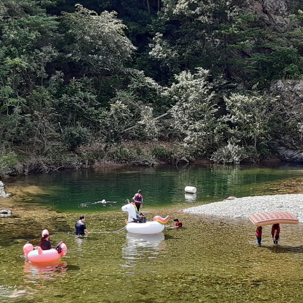 주간전경