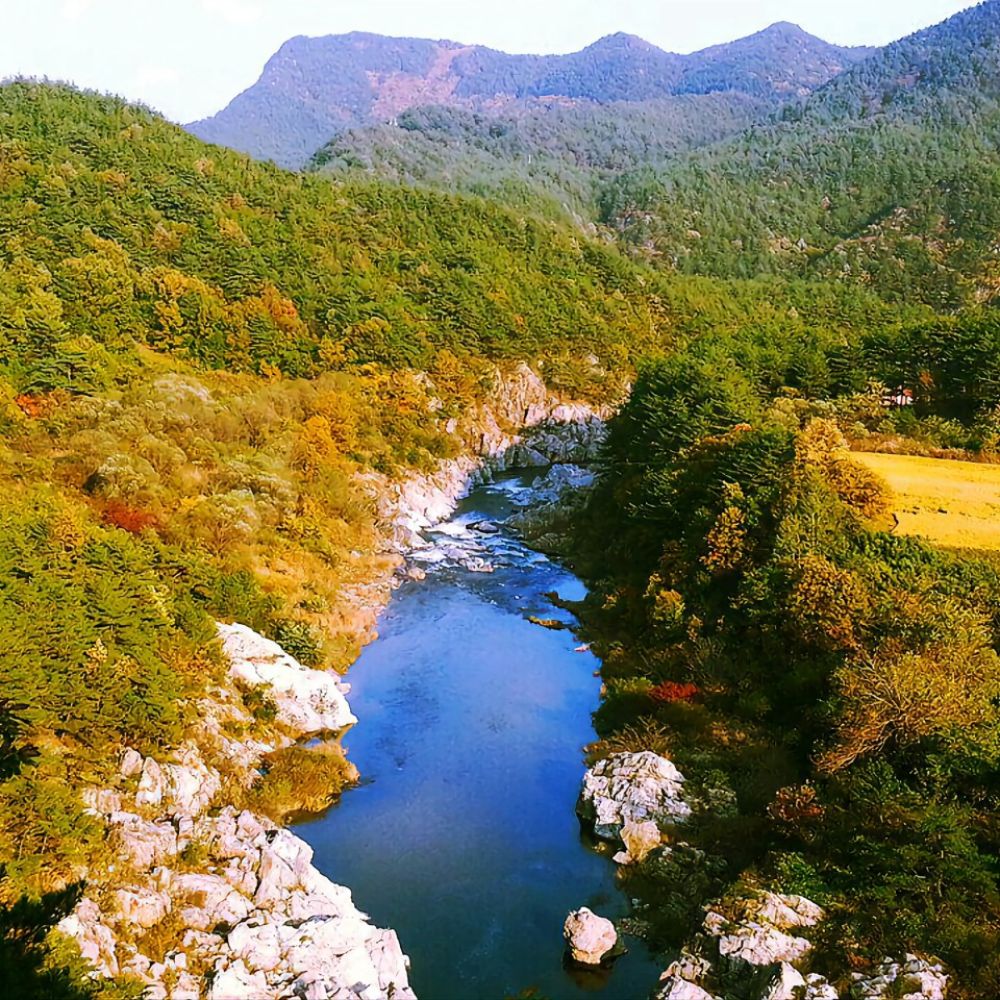 계곡전경